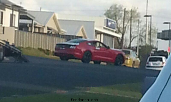 New Mustang just taken off truck to For. 