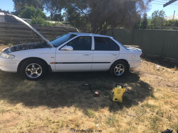 daughters 95 ef futura