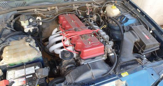 ed xr6
