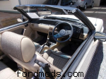 1989 Mustang