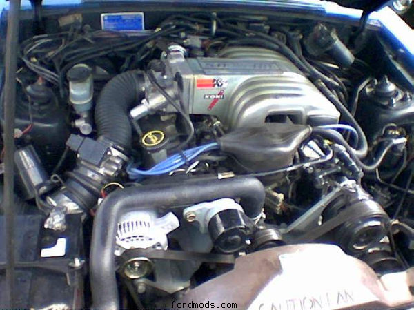 the 5.0L i the mustang