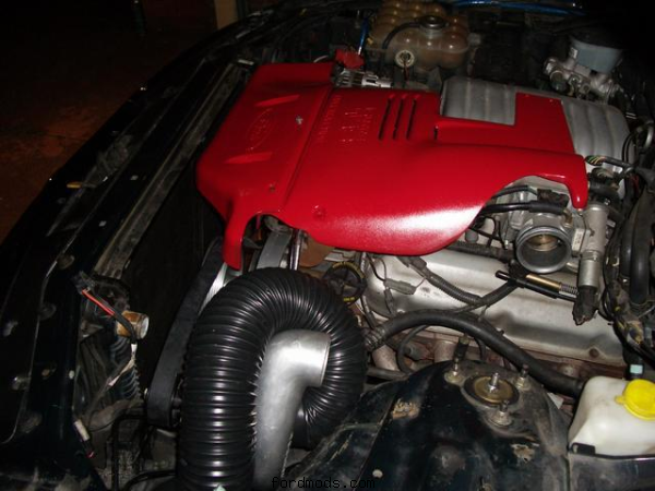 Engine Bay