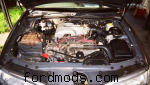 Standard motor
