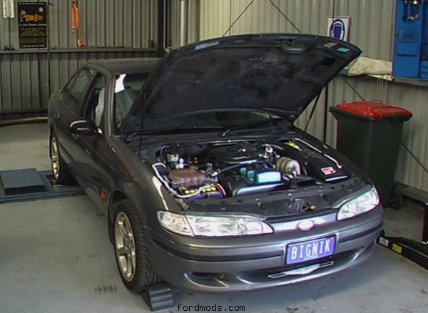 at dyno