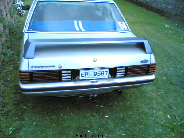 Tiny's XF