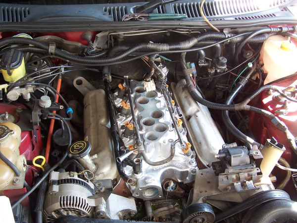 GT40 lower