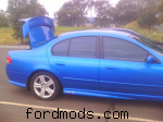 new tinting