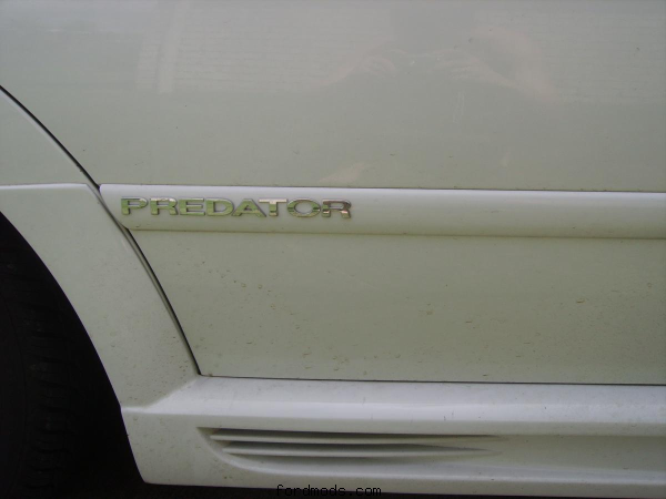 forgive my dirty car, stupid rain