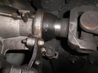 closer view.JPG